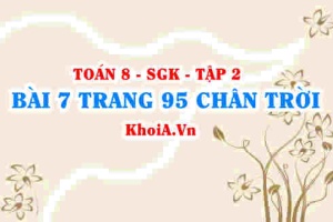 Bài 7 trang 95 Toán 8 Chân trời sáng tạo Tập 2